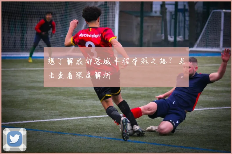 想了解成都蓉城半程夺冠之路?点击查看深度解析