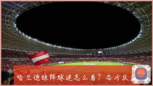 哈兰德缺阵球迷怎么看？各方反应与未来赛程展望