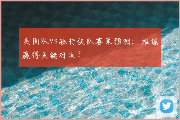 美国队vs独行侠队赛果预测：谁能赢得关键对决？